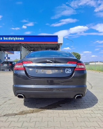 Jaguar XF cena 7800 przebieg: 150437, rok produkcji 2010 z Lesko małe 154